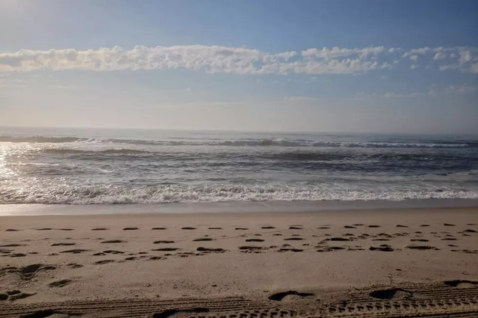 Jersey Shore Report for Friday, July 16, 2021
